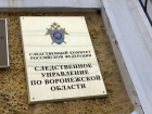 Приемную мать осудят за истязание детей в Воронеже 