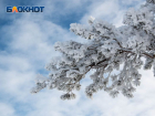 Лютые морозы со снегопадами надвигаются на Воронежскую область