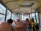 Два десятка автобусов закупают за 250 млн рублей в Воронежской области 