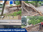Упавшее сухое дерево повредило машину и вызвало коммунальный хаос в Воронеже
