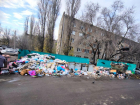 "Стабильное" позорище снова вывалилось на улицы Воронежа