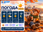 Солнечный подарок от осени: какой будет погода в Воронеже?