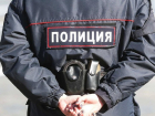 Полиция и чиновники мэрии будут контролировать въезжающих в Воронежскую область 