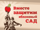 В Воронеже защитники яблоневого сада на Ломоносова соберут подписи и проведут митинг у «Пролетария»