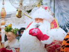 Почему Дед Мороз не дарит подарки взрослым, ответили на площади Ленина воронежцы