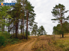 Воронежцам запретят ездить в лес