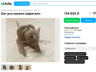 Фигурку кота, созданную самим Зурабом Церетели, продают почти за 200 тыс рублей в Воронеже
