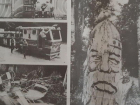 К тотальному уничтожению Центрального парка готовились воронежцы в 1993 году