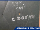 «Где ты? Сдохни»: девушке из Воронежа угрожают соседи, но полиция не спешит на помощь