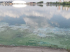 Сбросы нечистот назвали причиной цветения Воронежского водохранилища