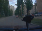 В Сети появилось видео, как наглая девочка бросается под колеса авто в Воронеже