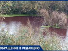 Очередной водоем окрасился в цвет крови в Воронежской области