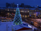 В конкурсе на установку новогодней елки в Воронеже УФАС не нашло нарушений