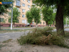 Сильный ветер продлил Воронежской области желтую зону погодной опасности 