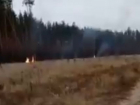 Уничтожение соснового леса огнем записали на видео в Воронеже