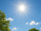 Жаркой и сухой будет погода в Борисоглебске в первые выходные августа 