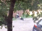 Маргинальные посиделки около дома, где торгуют «паленкой», сняли на видео в Воронеже