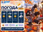 Без дождя: прогноз погоды в Воронеже