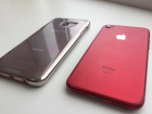 iPhone и Samsung поглотили рынок смартфонов Воронежа