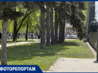 Последствия чиновничьего субботника показали на фото в Воронеже