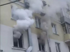 На пожаре в воронежской квартире погибли около 20 животных