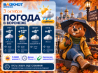 Готовимся к холодам: прогноз погоды в Воронеже