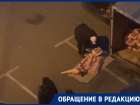 Тошнотворная разгрузка мяса попала на видео в Воронеже 