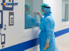 Число суточных зараженных COVID-19 поставило рекорд в сентябре в Воронежской области 