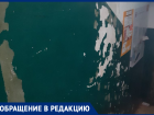 «Жалкое зрелище» 
