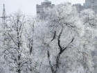 Каких погодных сюрпризов ждать от последней недели января в Воронеже? 
