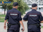  Как наказали воронежца, напавшего на двух сотрудников полиции, рассказали в СК 