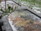 Заморозки спровоцировали штормовое предупреждение в Воронежской области