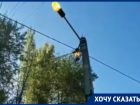 Разбазаривание уличного электричества возмутило жителей Воронежа