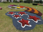 В Воронеже решили обустроить цветники в виде символов Победы