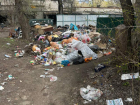 Огромные горы мусора и вонючие контейнеры атаковали два двора в Воронеже