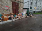  Лень дойти до мусорки – воронежцы закидали отходами электроподстанцию