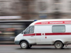 Под Воронежем парню проломили голову монтировкой за сбитую насмерть собаку