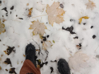 Ждать ли снега в ноябре, рассказал главный воронежский метеоролог 