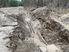 Опушку лесу, отапливаемую теплотрассой, обнаружили на окраине Воронежа