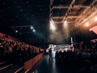 Бокс в Воронеже: увидеть смену Поветкина и Чехкиева, узнать, кто получит пояс WBC можно в прямой трансляции 25 февраля