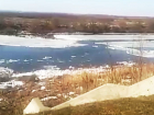 На видео попал ледоход по реке Дон в Воронежской области