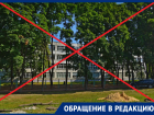 Родители просят закрыть школу на ковидный карантин из-за массовой заболеваемости учеников