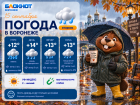 Осень пришла: прогноз погоды в Воронеже