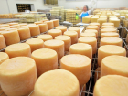 Под Воронежем завод производил сыр с антибиотиками