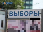 Названо число воронежцев, которые протестируют онлайн-голосование на выборах в Госдуму