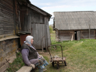 Численность воронежского населения за год сократилась на 1,5 тыс человек