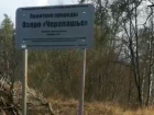 Гибель всего живого на Черепашьем озере стали проверять экологи в Воронеже