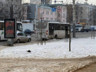 153-й маршрут может остаться без перевозчика в Воронежской области