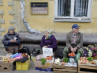 Воронежские власти за полгода оштрафовали незаконных торговцев на 2,7 млн рублей