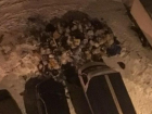 Жители воронежской многоэтажки взвыли волком от стихийной свалки во дворе